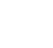 Regenerative Solutions logo